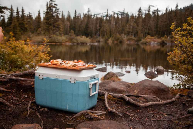 Camping Coolers