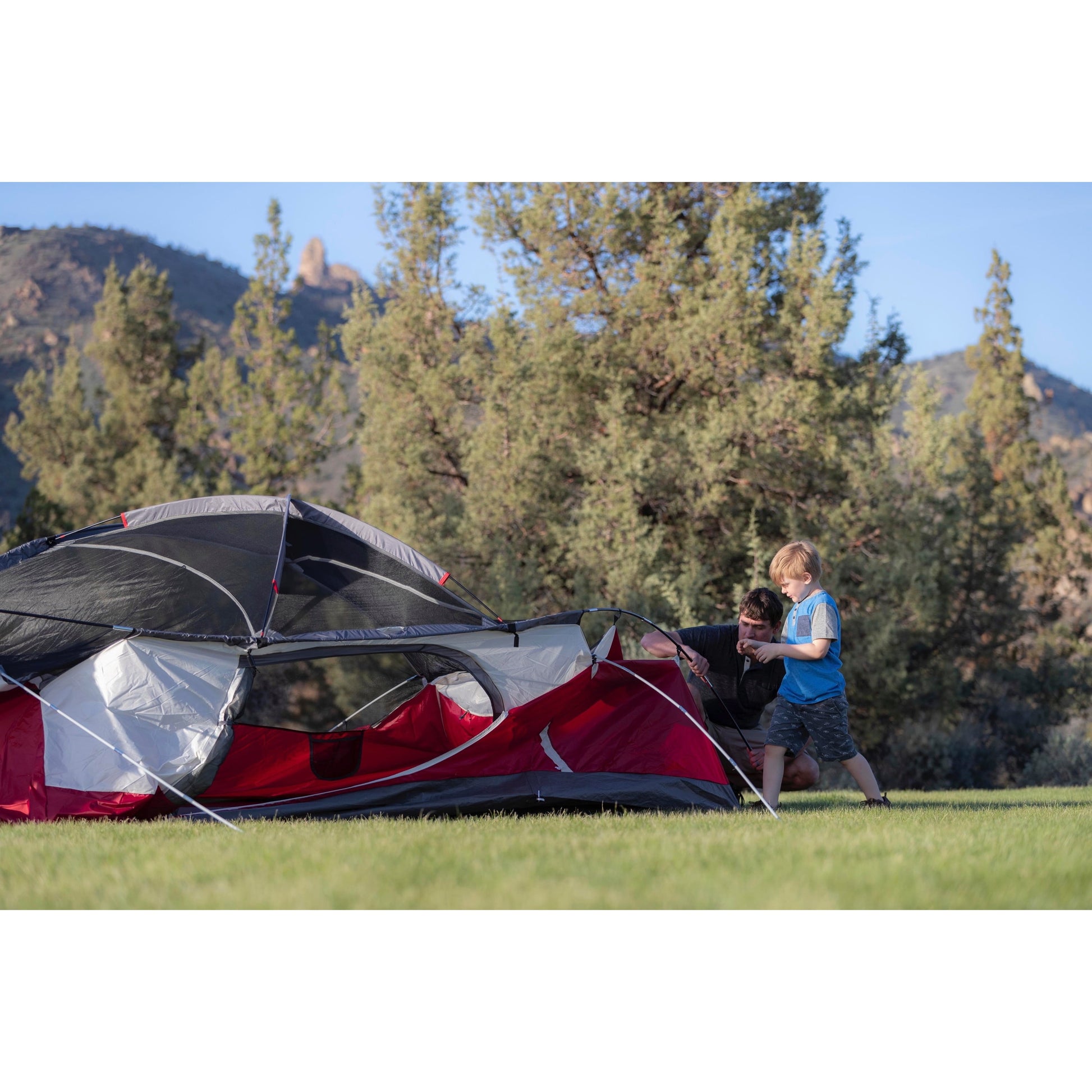 8-Person Cimarron Dome-Style Camping Tent