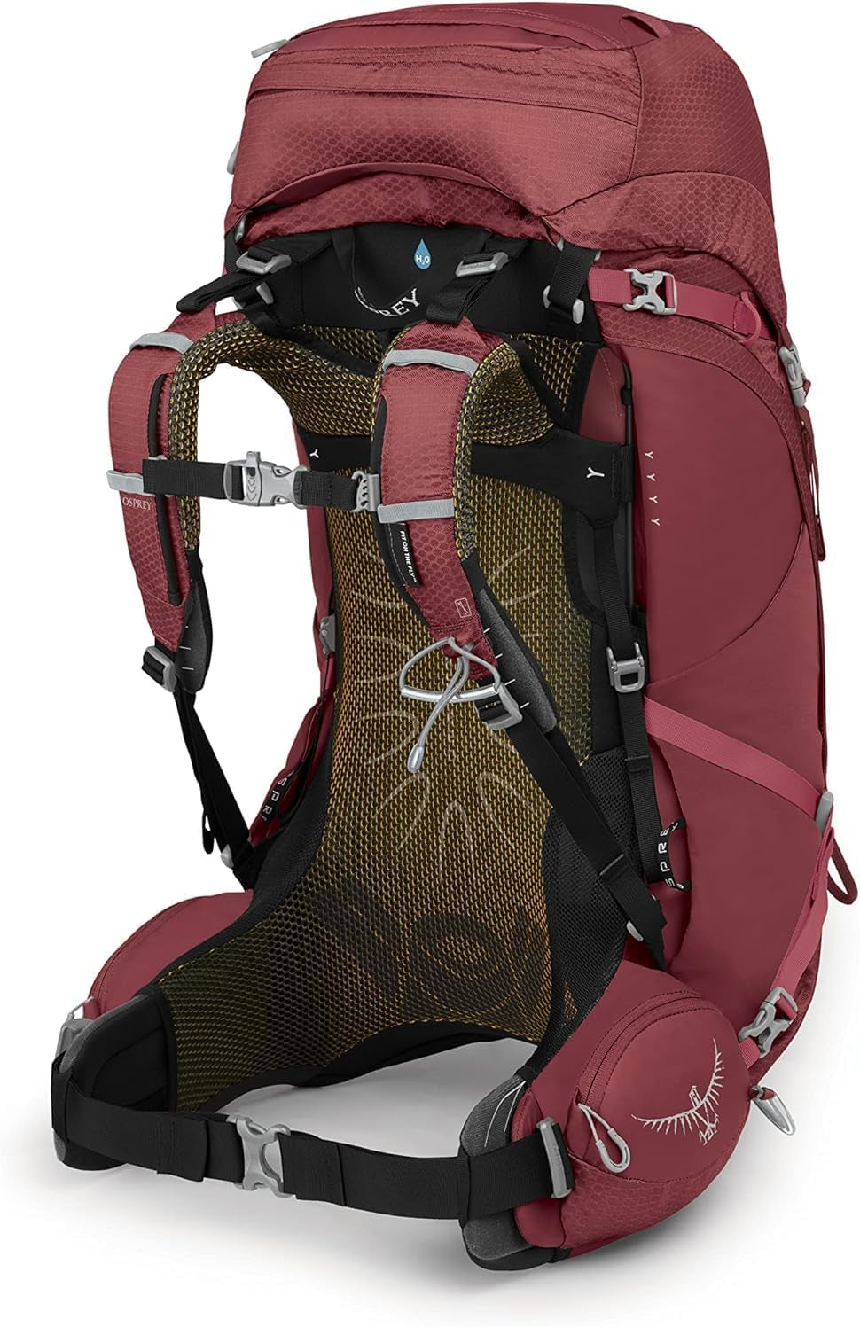 Aura AG 50L Women'S Backpacking Backpack, Berry Sorbet Red, WXS/S