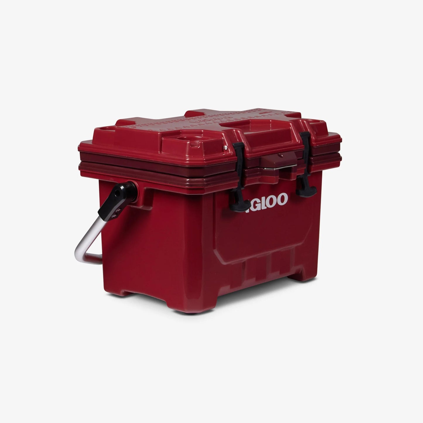 IMX 24 Qt Cooler